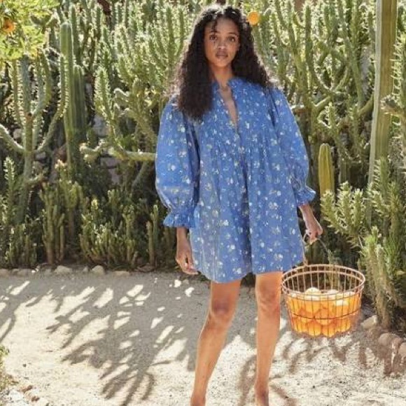 Doen Dresses & Skirts - Dôen Dulcie Dress in Blue Bouton De Rose Size XL